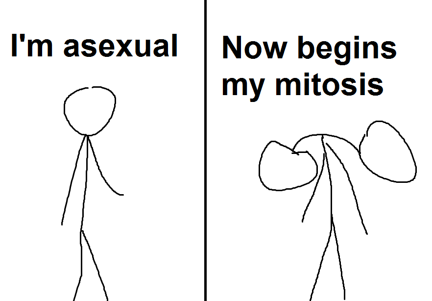 000.png