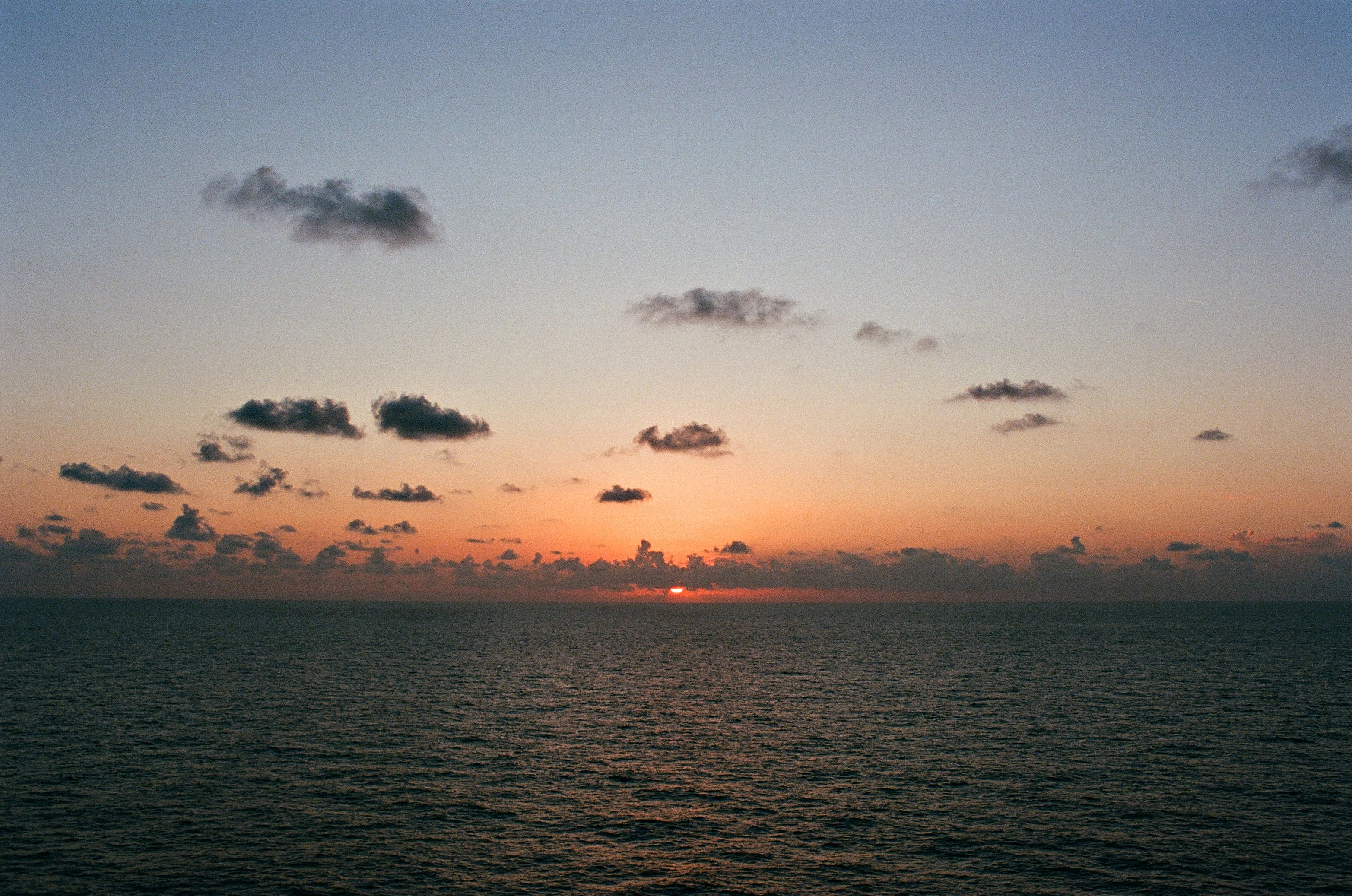 000081570012.webp