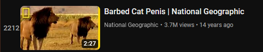 02.png