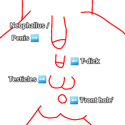 02.png