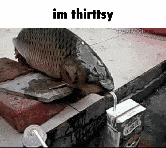 022e323d385e7cc2cc5733f650b427ae5bf778748abc0aa68c75f088377736a9_1.gif.gif