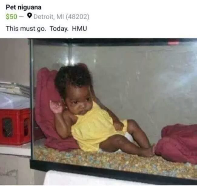 0635677B-71BB-4828-B1FC-00CB42245342.jpeg