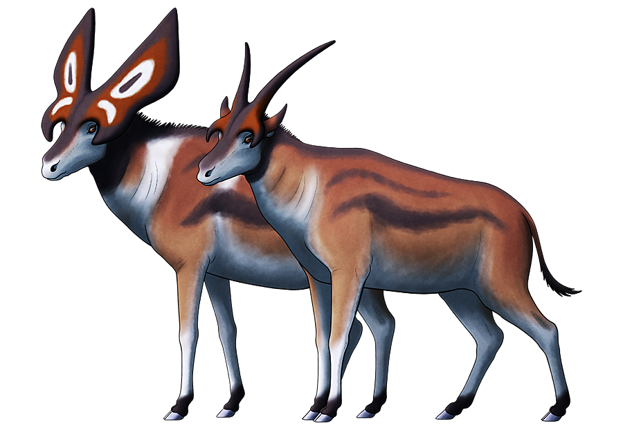 09-prolibytherium.png