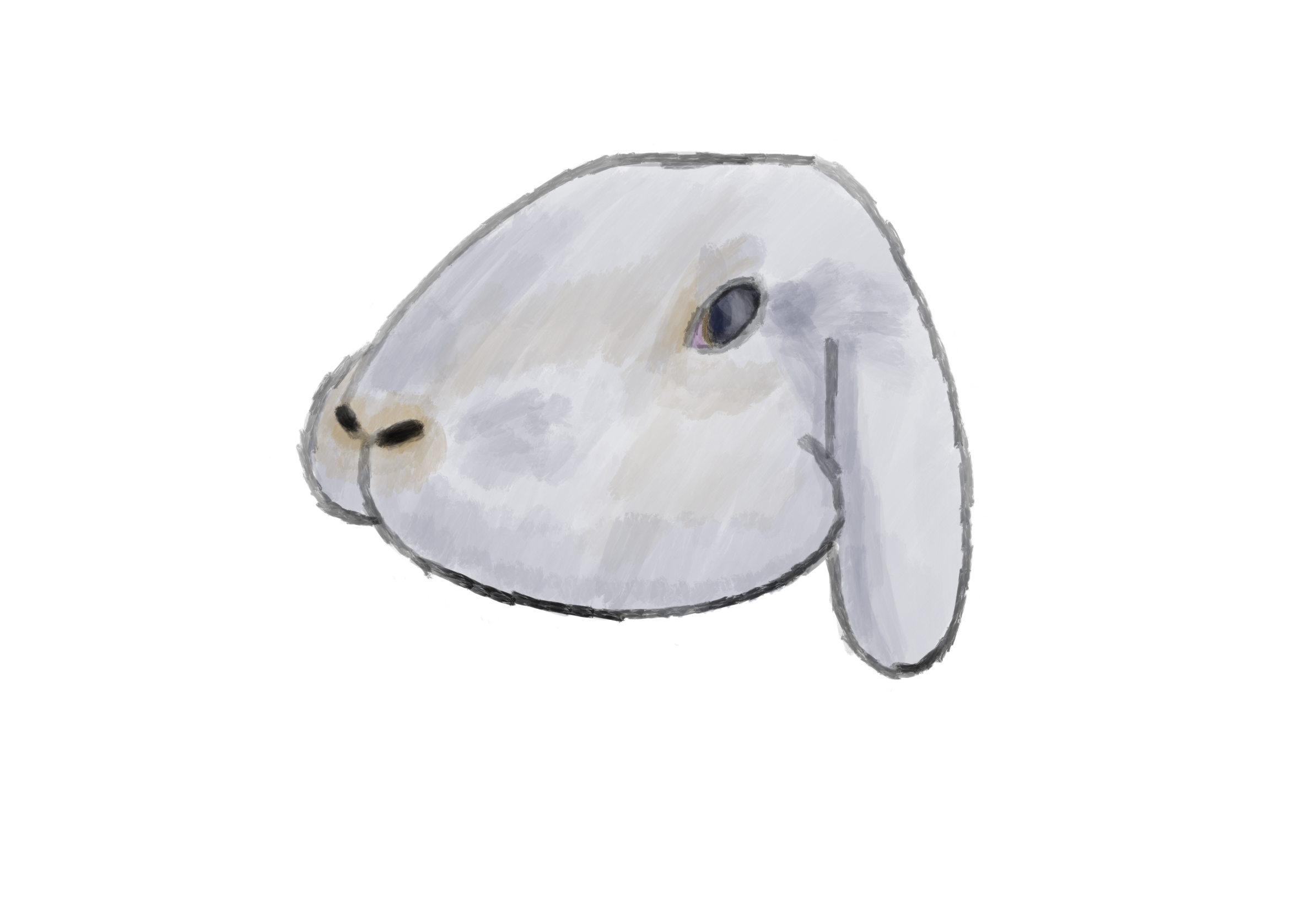 0A2C552C-15F5-4A28-AFE3-1352B8BFF46B.png