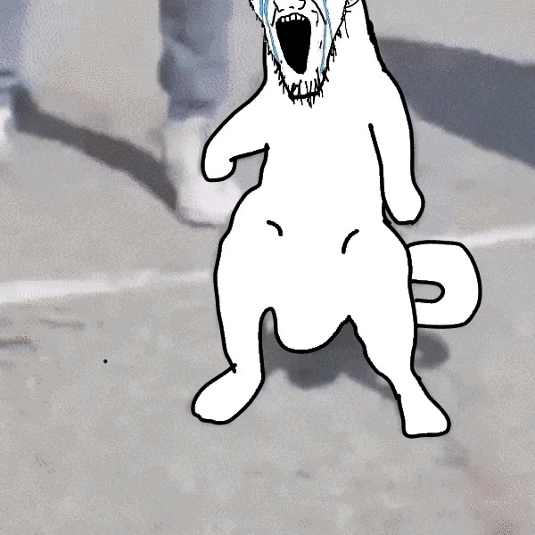 0CB82151-3E9C-47E7-BDF3-0051EBAEBF1C.gif