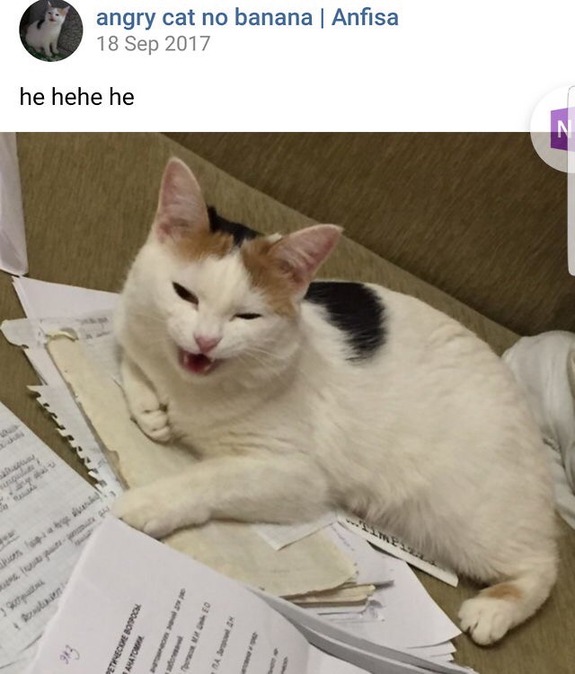 0DA1644E-B0A0-4F05-A90B-354ADE62D50B.jpeg
