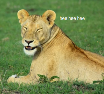 1.PNG