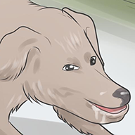676976