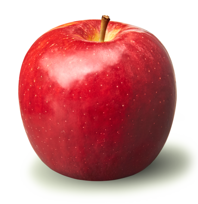 1000000199.webp