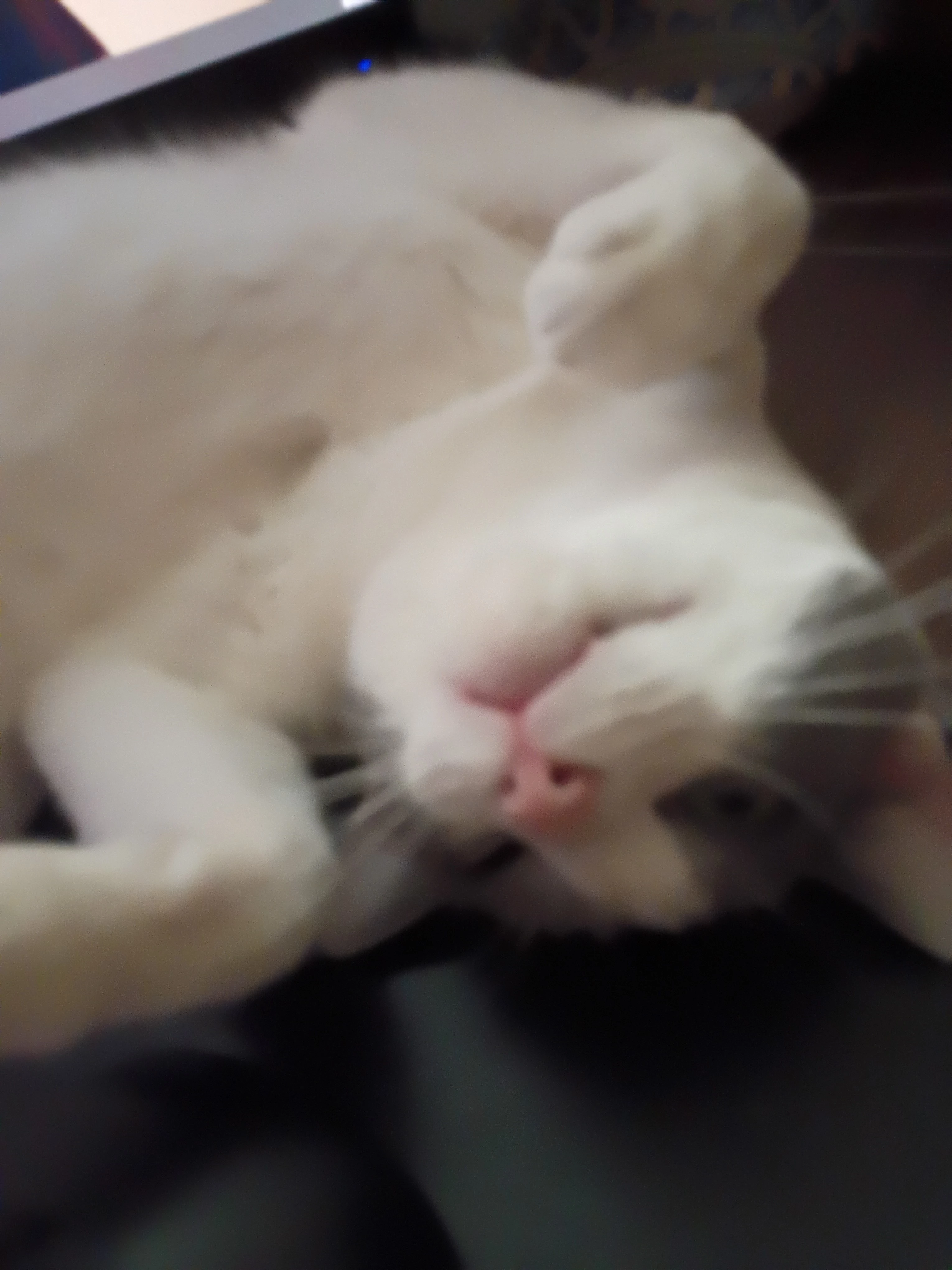 1000001099.webp