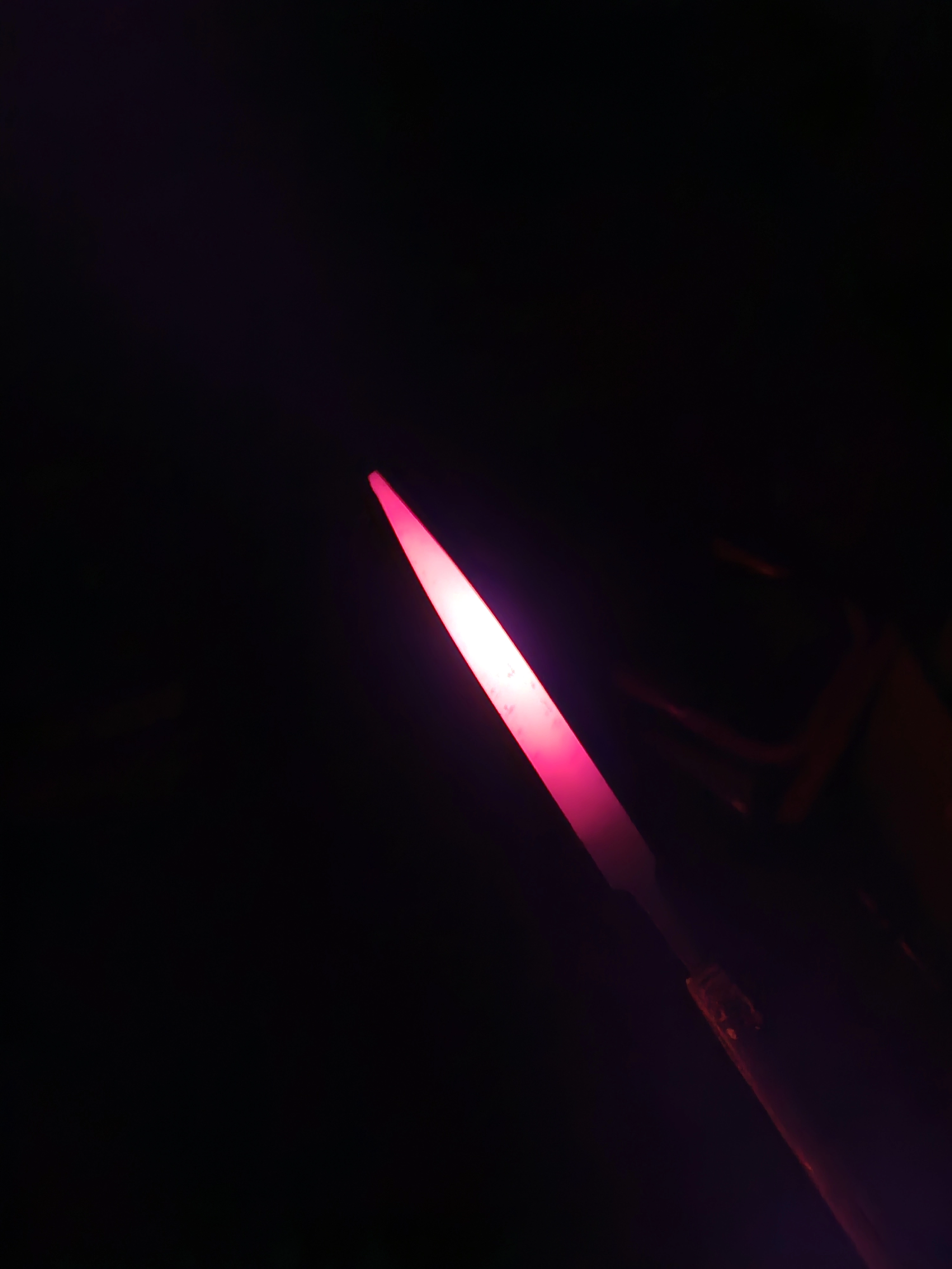 1000006257.webp