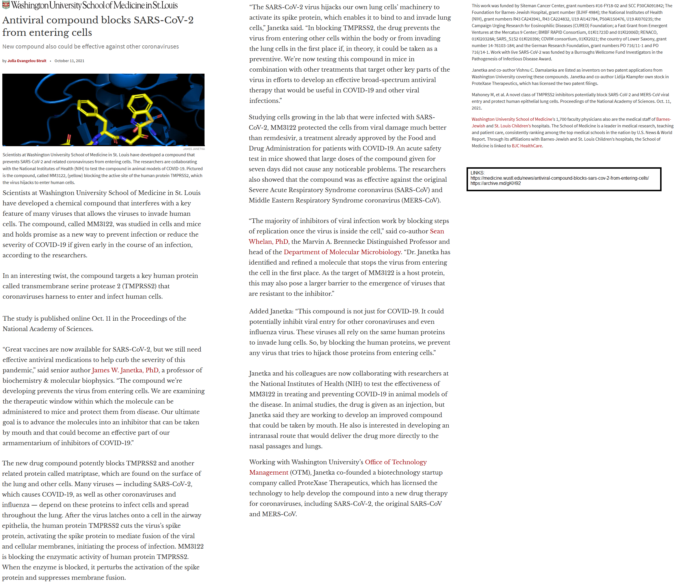 10_11_2021 Antiviral Compound Blocks SARS-CoV-2 from Entering Cells_Study.png