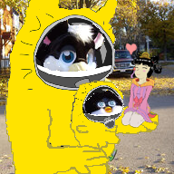 11965.png