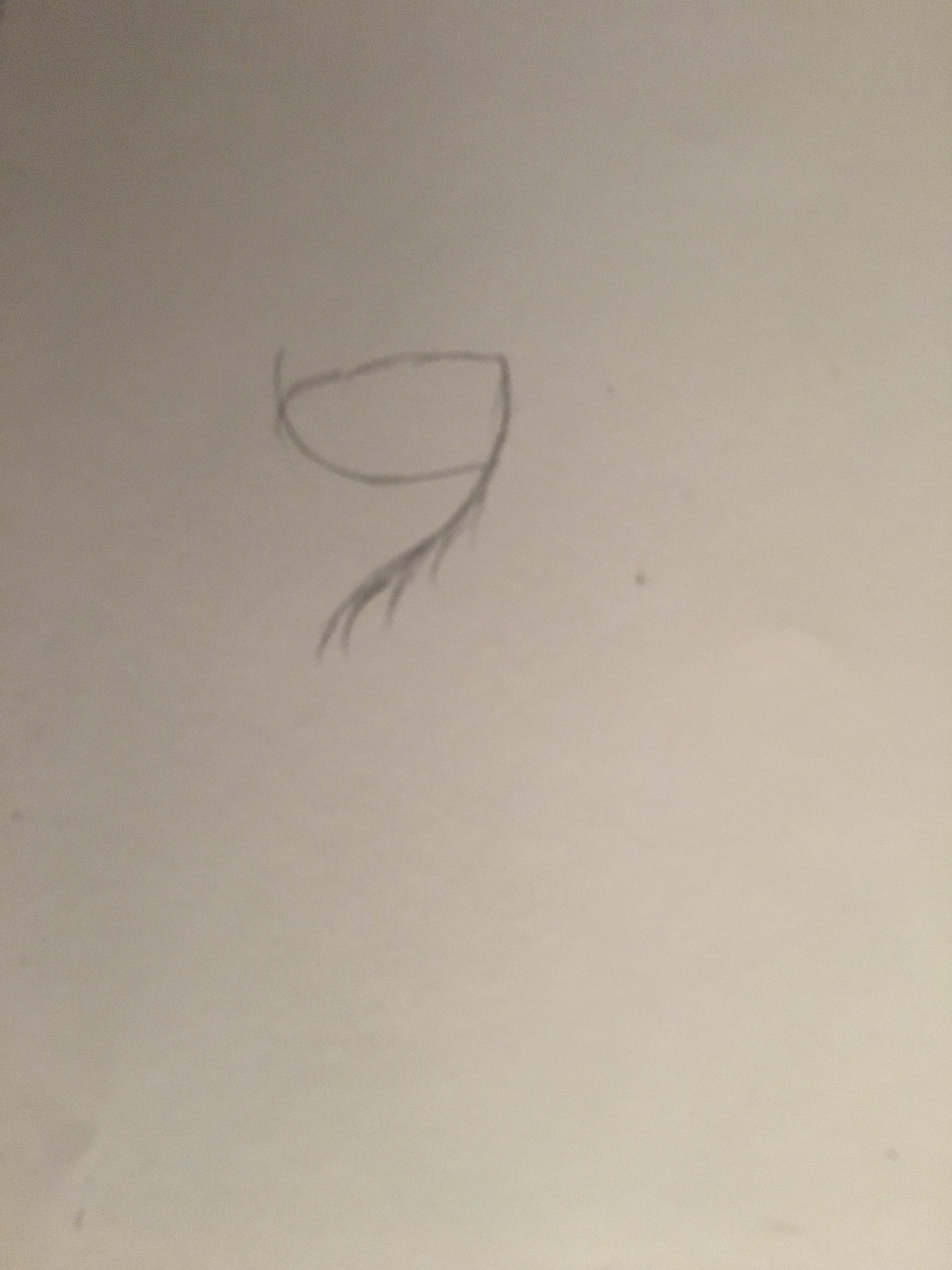 12E158CE-6B3C-457E-A425-9ED36F1DC2E8.jpeg
