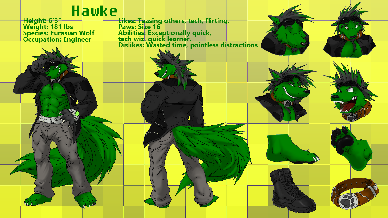 1520637767.swiftfox-dash_hawke_ref_sheet_final.png