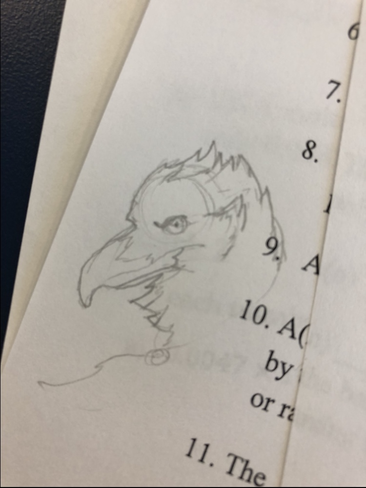 153A161A-72AA-4630-AEE5-35DDA1D3E3E4.jpeg