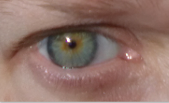 1573586929468.png