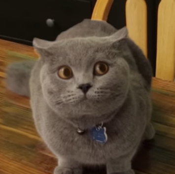 1599684172313.png