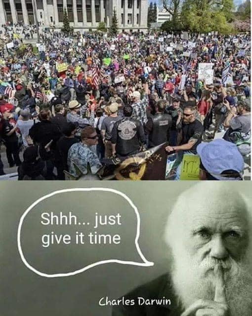 1629323164901.jpeg