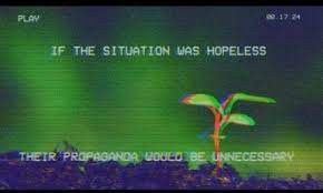 1637364952925.jpeg