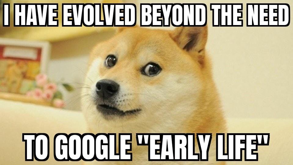 1640307758650.jpeg