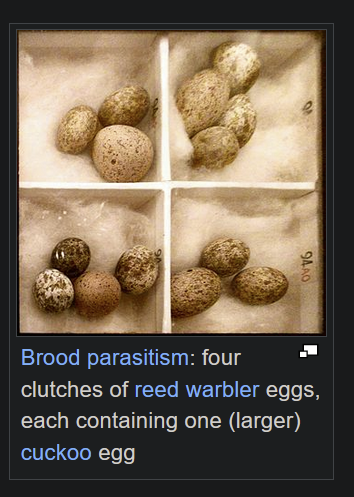 1645645830175.png