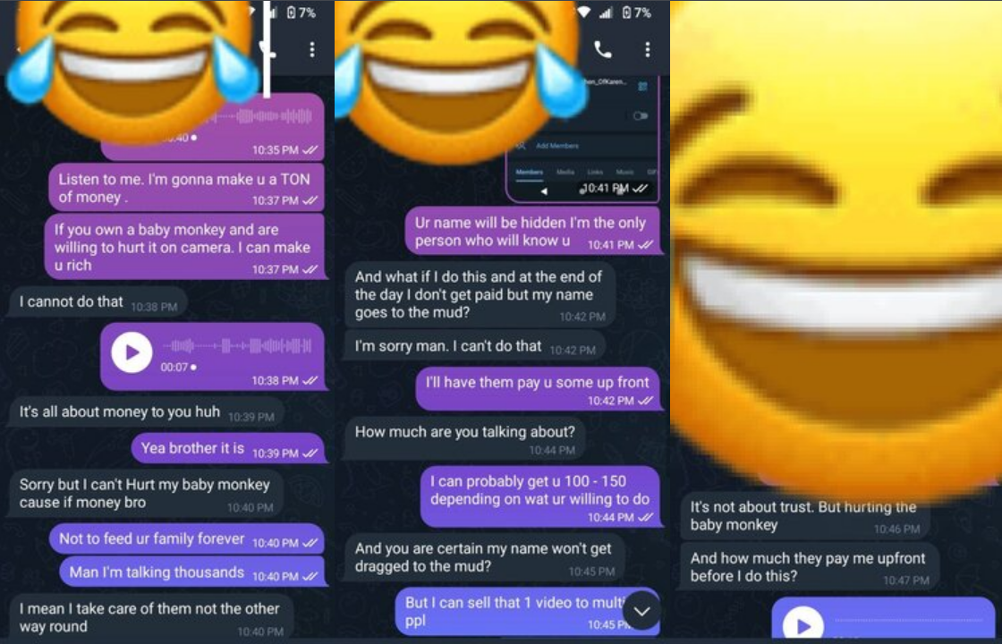 1677888958173.png