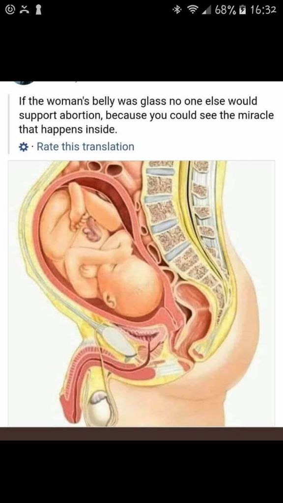 1679521495460930.jpeg