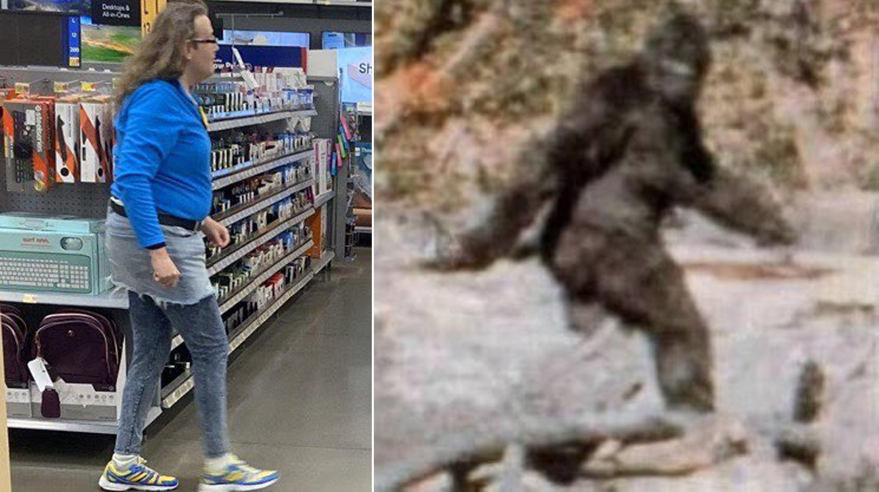 1689865038774.jpeg