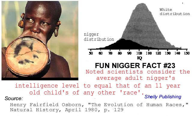 1697672877928.jpeg
