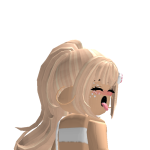 1703367271924.png