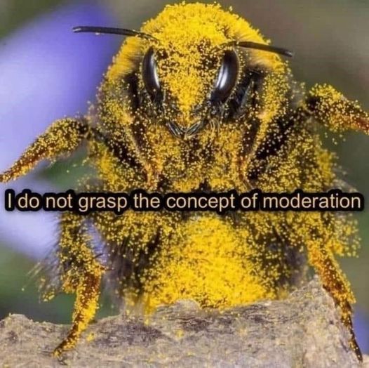 1710400475059.jpeg