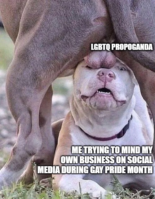 1716175128113.jpeg