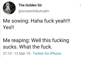 1721025131114.jpeg