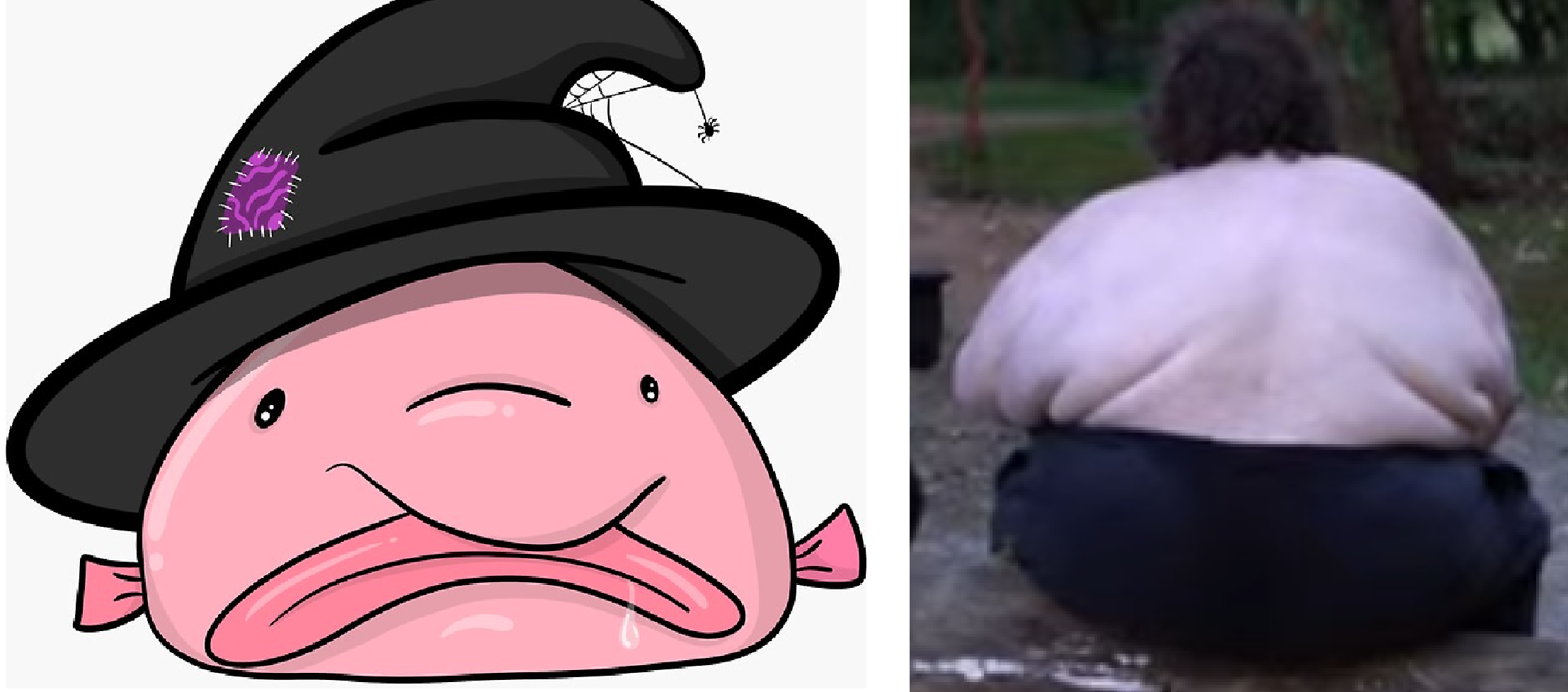 1727497690717.png
