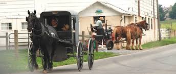 About the Amish, Mennonites & the Plain People