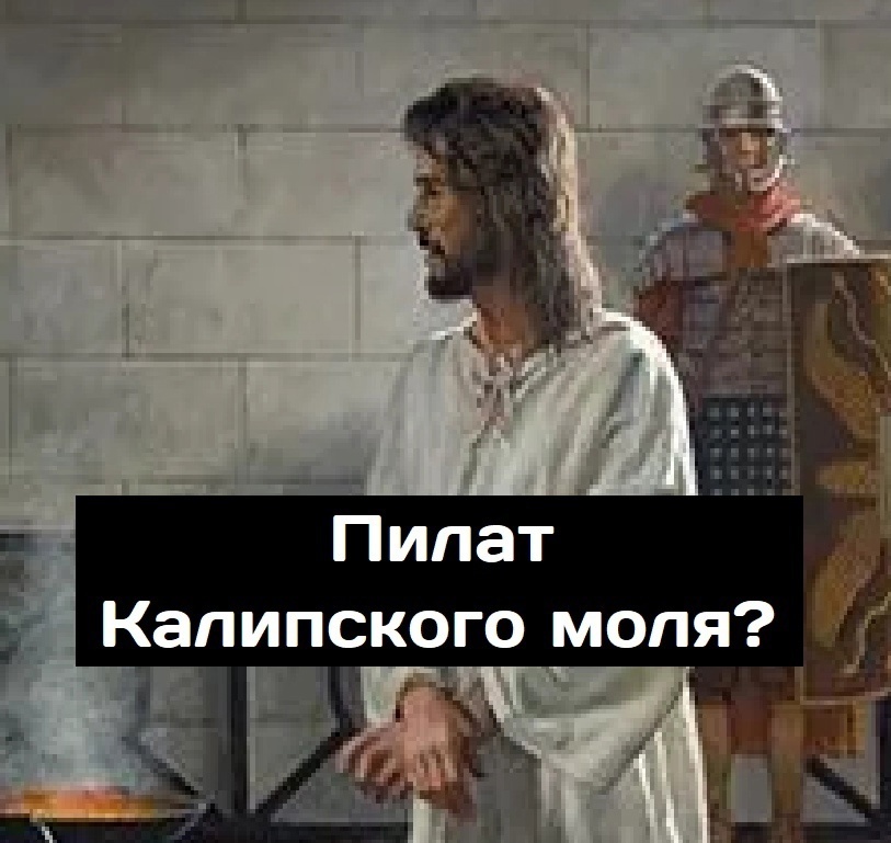 1731501784211.jpeg