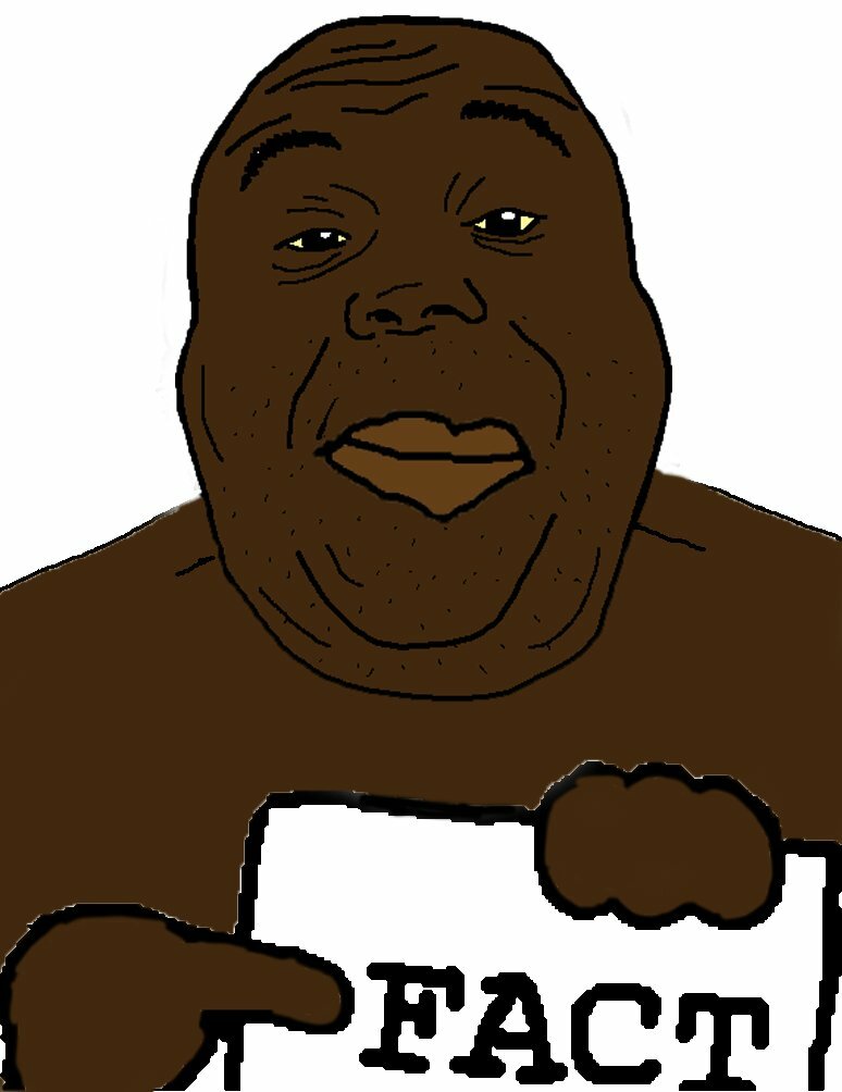 1732820094262.jpeg
