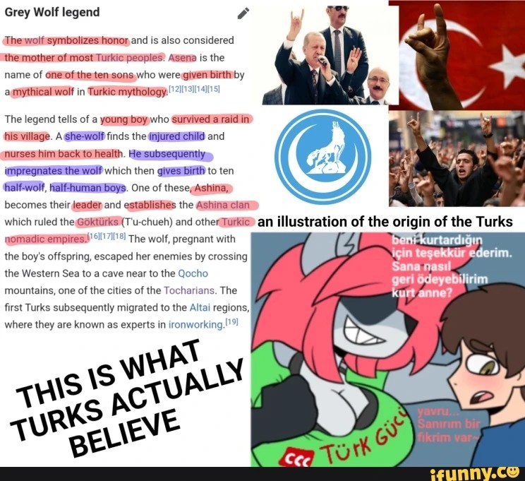 1733100237313.jpeg