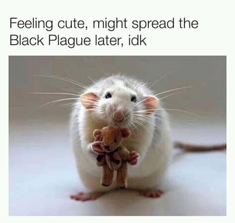 1740229662309.jpeg