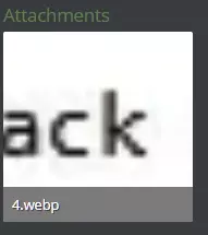 1745474498519.webp