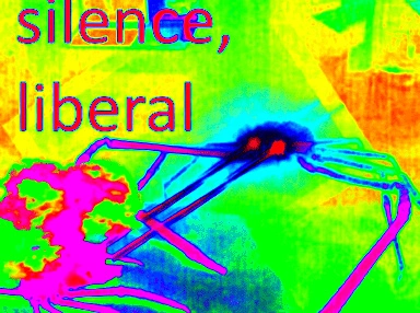 1746396204019.webp