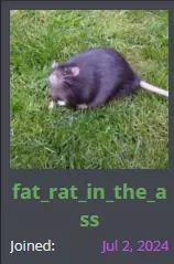 1746516920599.webp