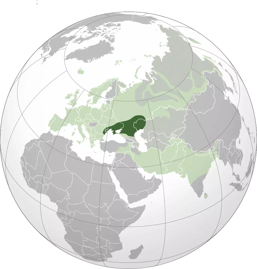 1746583002928.webp