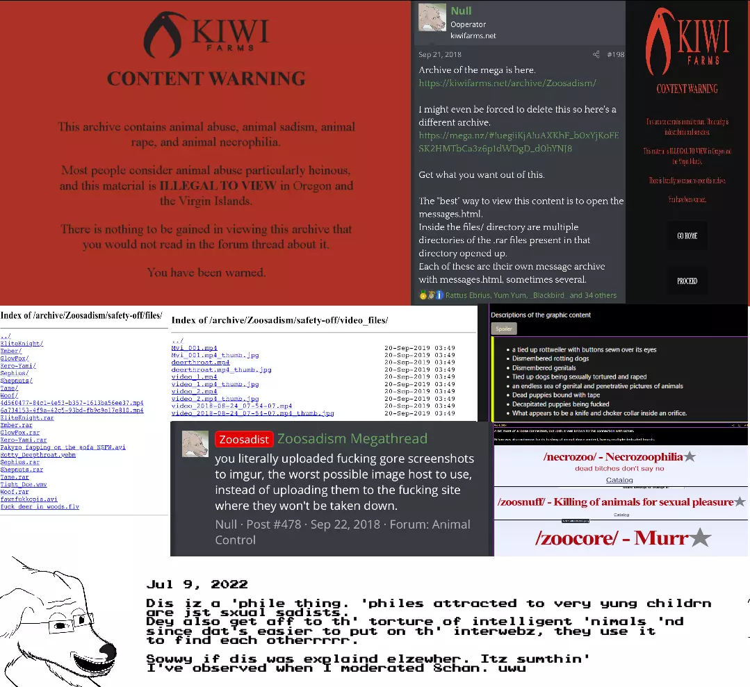 1746583276548.webp