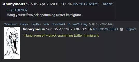 1747517756252.webp