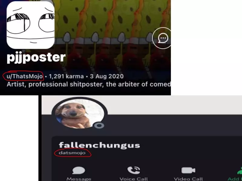 1747719721292.webp