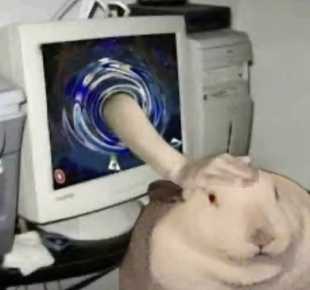 1748289013464.webp
