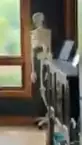 1748818238748.webp