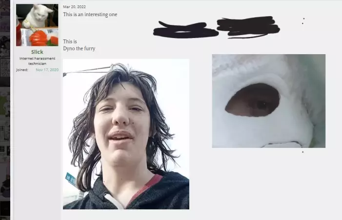 1748903978159.webp